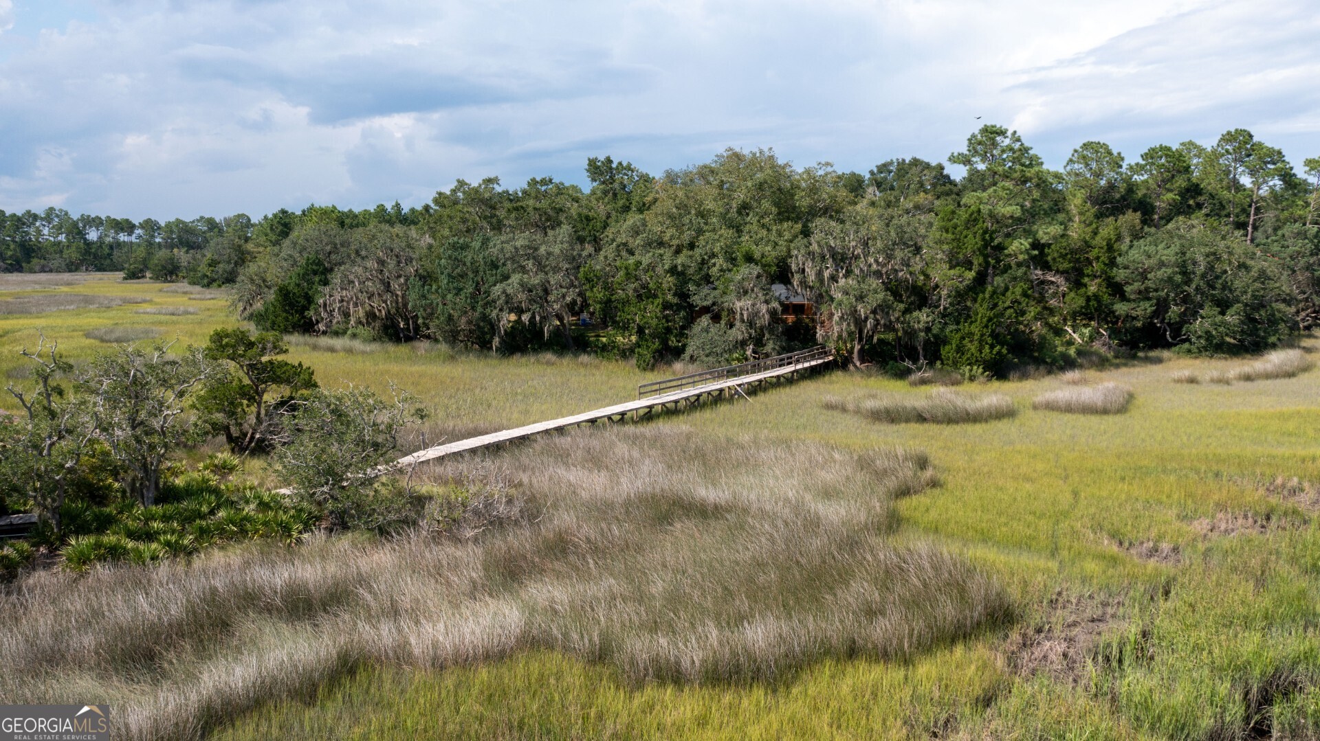 1924 Cedar Court Waverly, GA 31565 - Photo 9 of 78 a view of a yard with an outdoor space