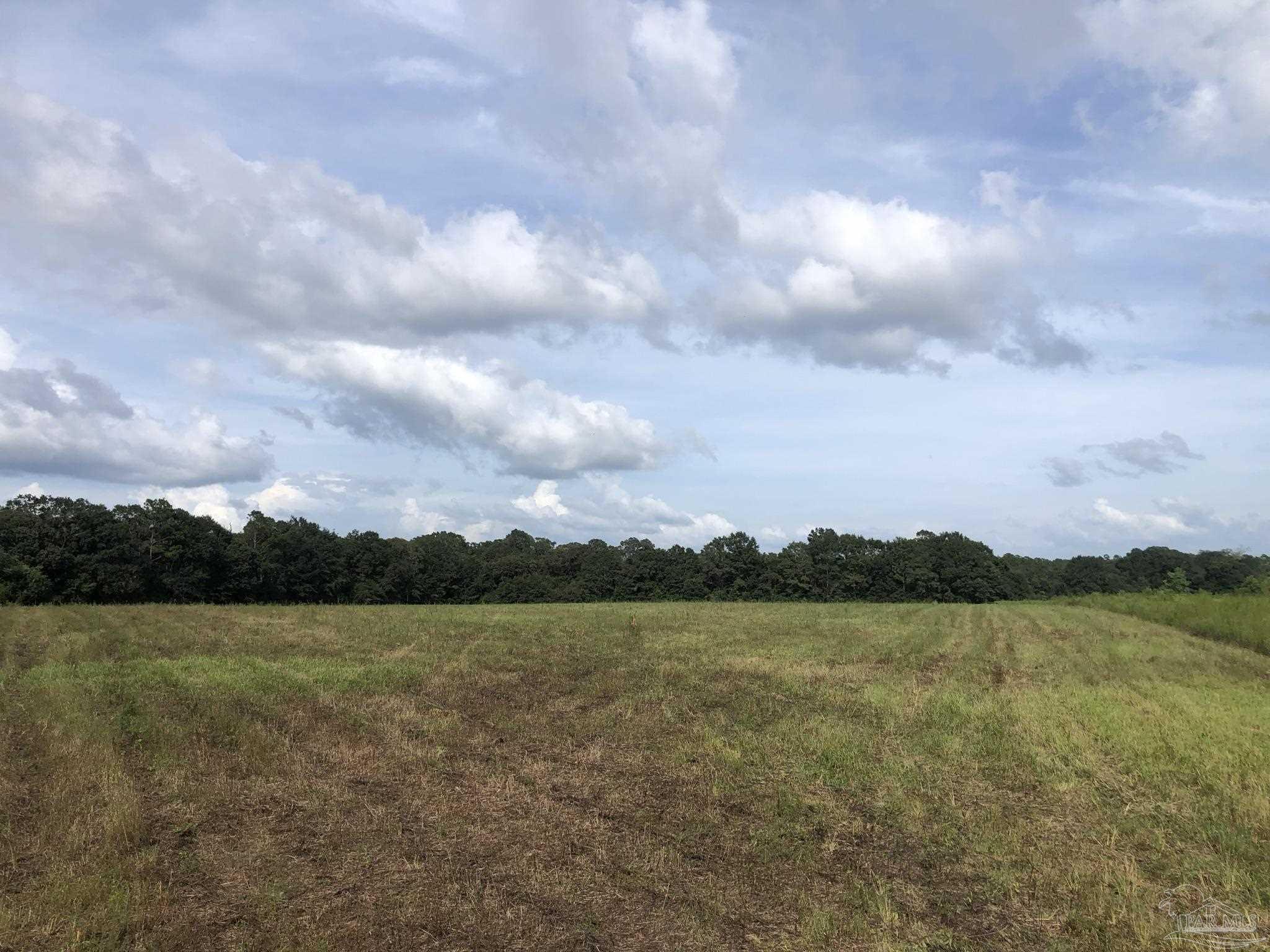 Lot 8 Fleming Bridge Road Milton, FL 32570 - Photo 1 of 7 Gallery Image 1