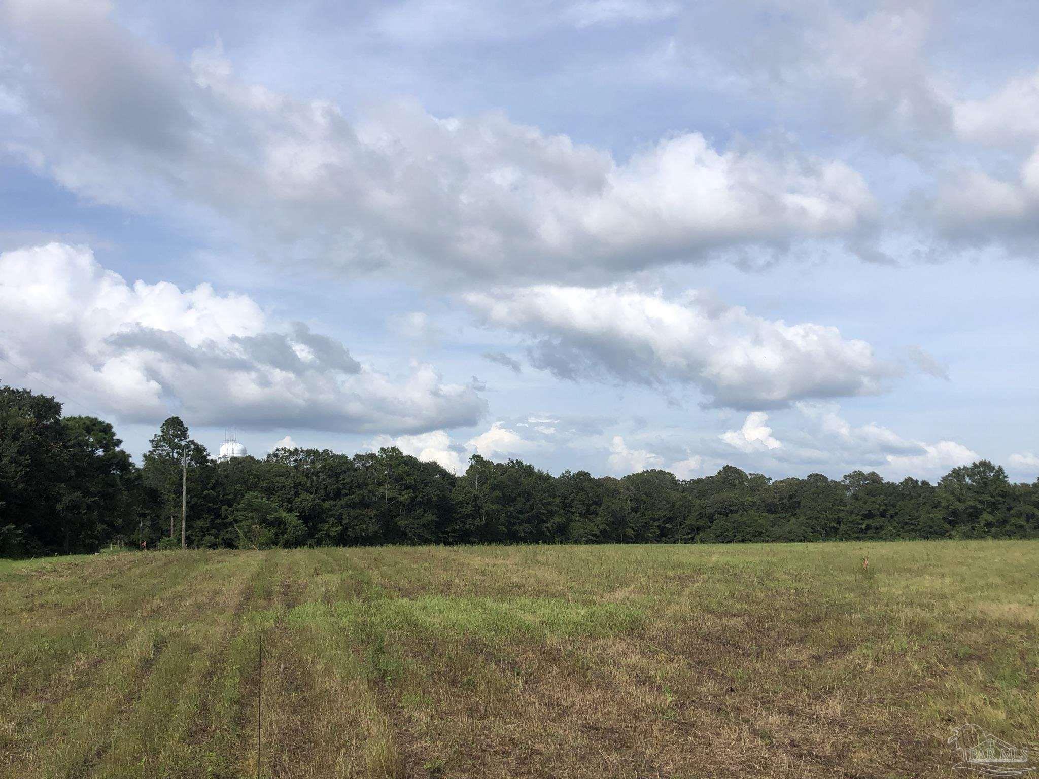 Lot 8 Fleming Bridge Road Milton, FL 32570 - Photo 2 of 7 Gallery Image 2
