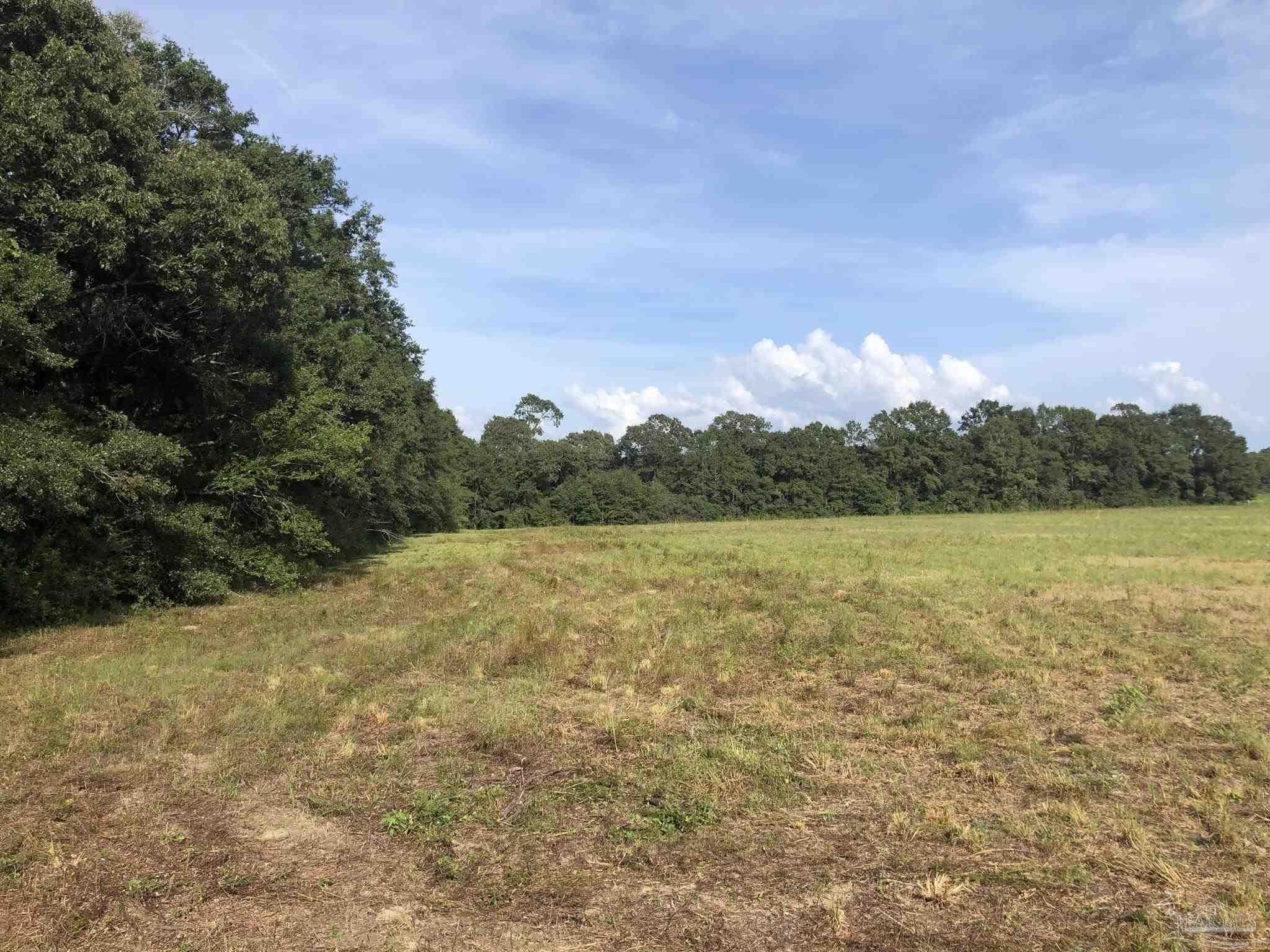 Lot 8 Fleming Bridge Road Milton, FL 32570 - Photo 3 of 7 Gallery Image 3
