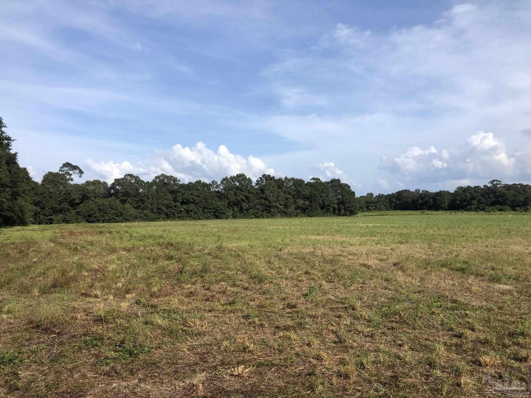Lot 8 Fleming Bridge Road Milton, FL 32570 - Photo 4 of 7 Gallery Image 4