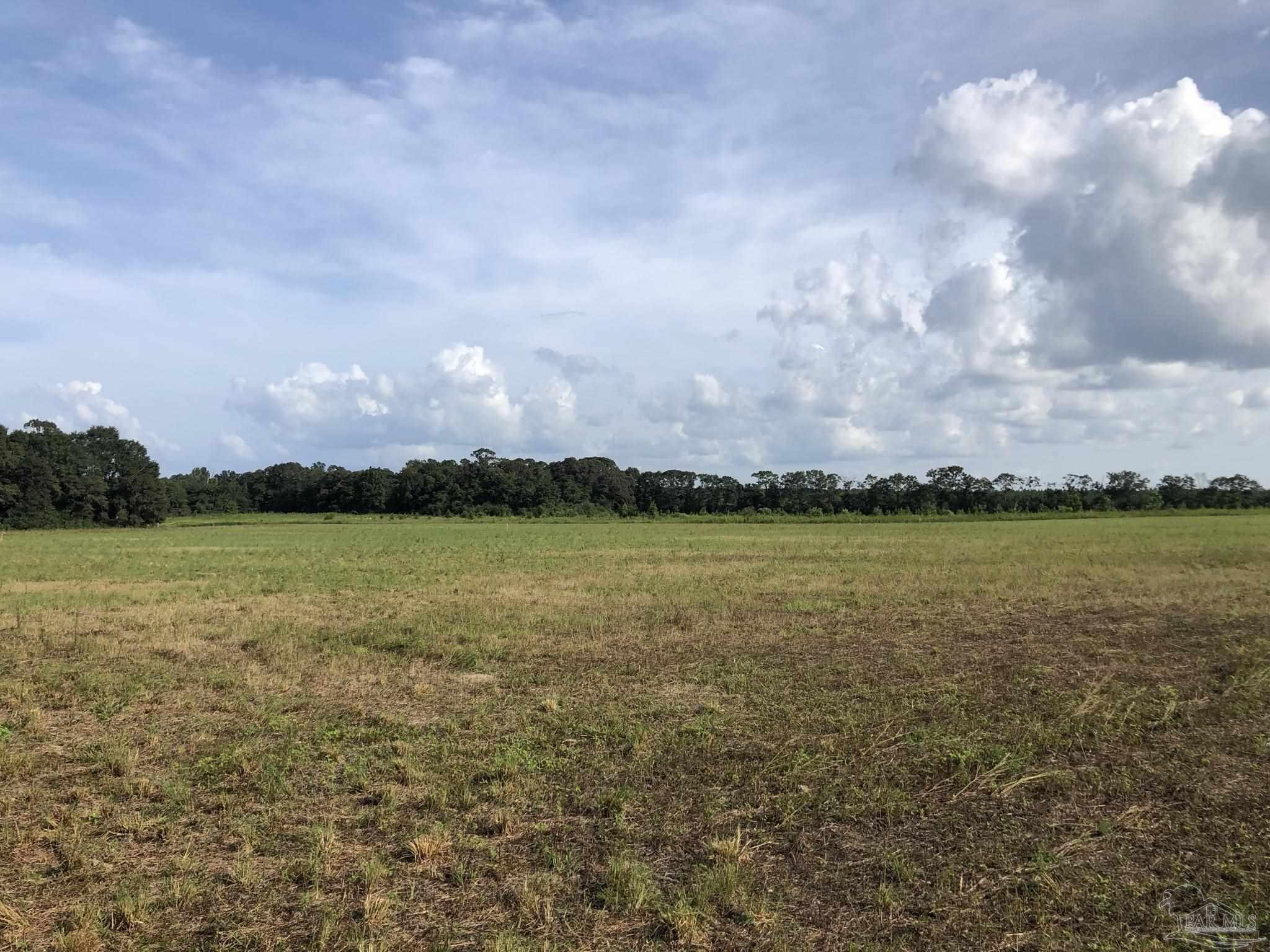Lot 8 Fleming Bridge Road Milton, FL 32570 - Photo 5 of 7 Gallery Image 5