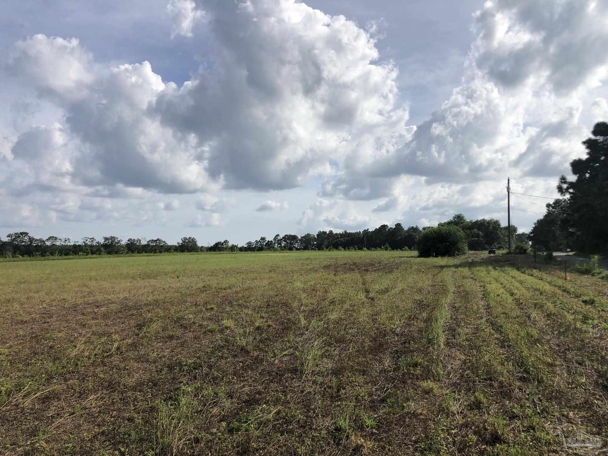 Lot 8 Fleming Bridge Road Milton, FL 32570 - Photo 6 of 7 Gallery Image 6