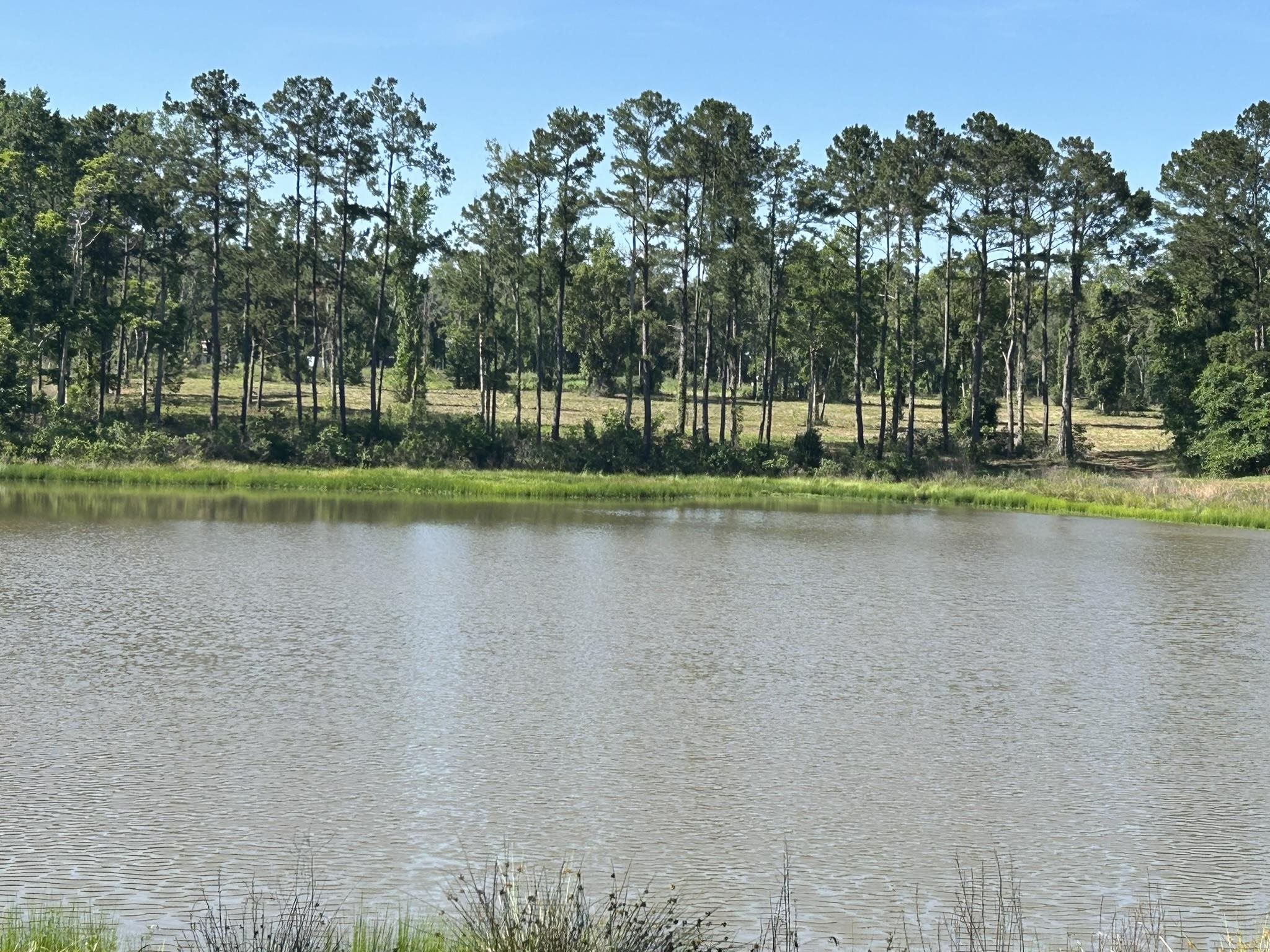 Xxx Ben Bostick Road Quincy, FL 32351 - Photo 11 of 20