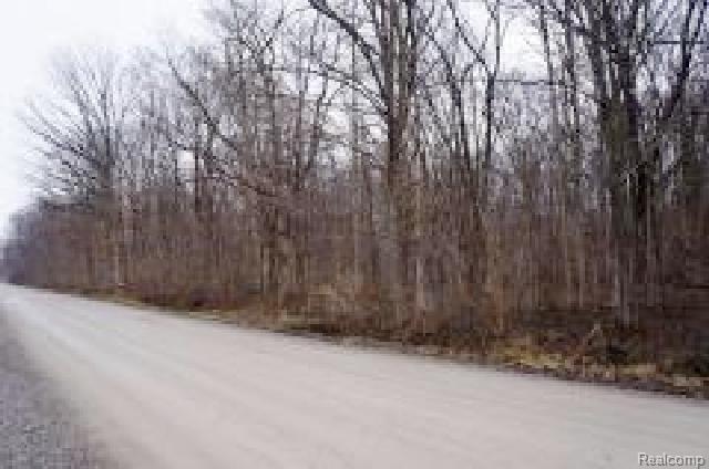 20995 30 Mile Road Ray, MI 48096 - Photo 22 of 25 # 18 Road.jpg