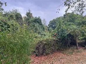 $100,000 | 0 Off Droz Lot # 2 Beck Plan, Baden, PA 15005