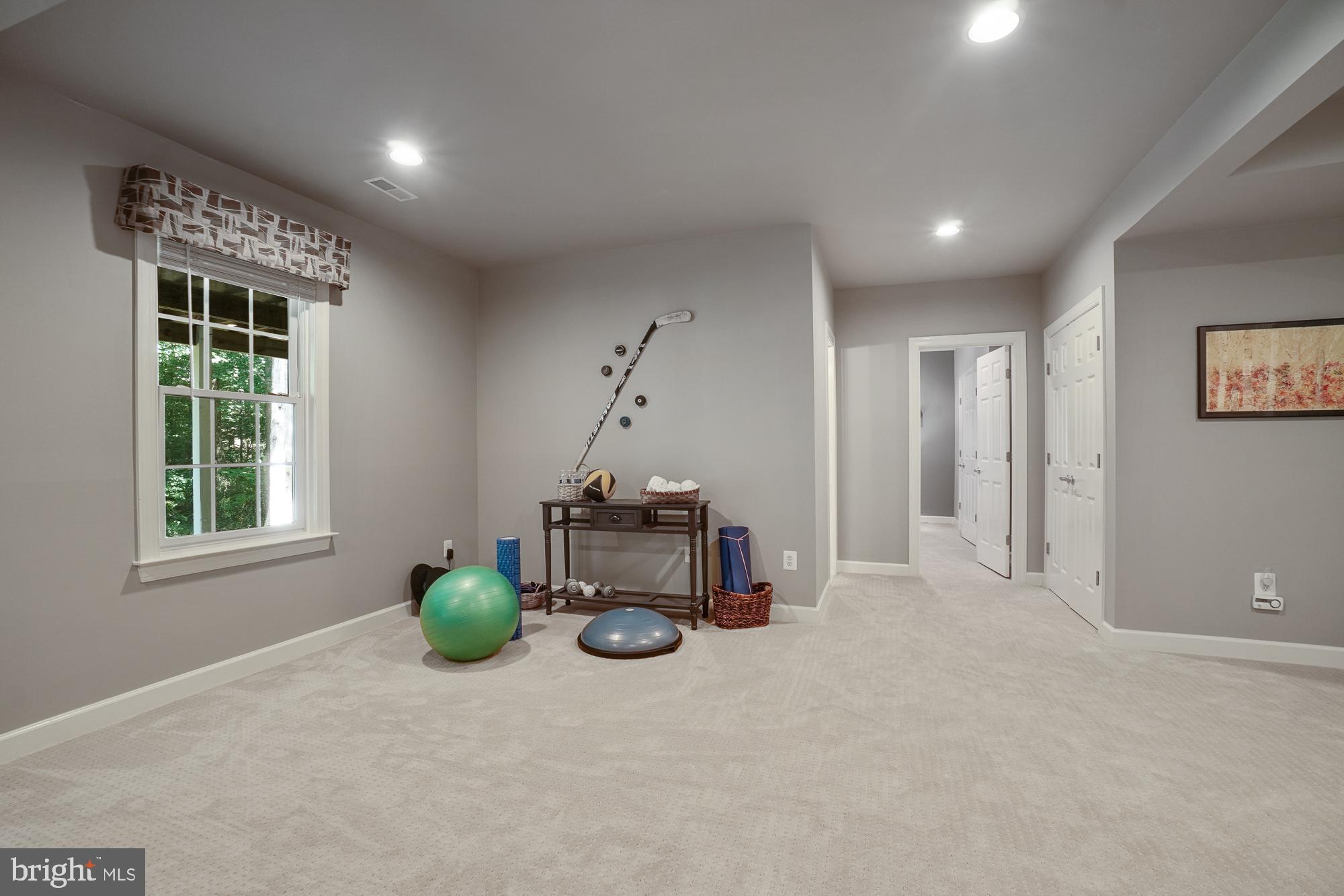 18 Hackett Court Poolesville, MD 20837 - Photo 62 of 82 Exercise at home using this space!