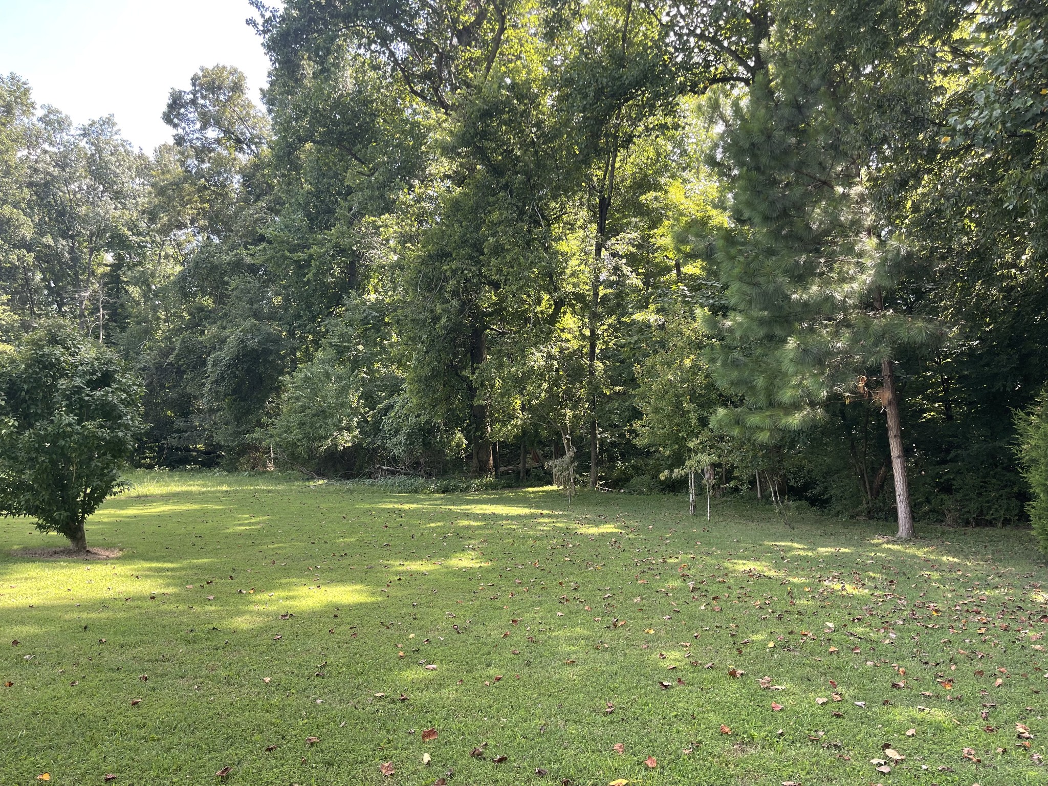 81 Bonee Road Lawrenceburg, TN 38464 - Photo 12 of 17