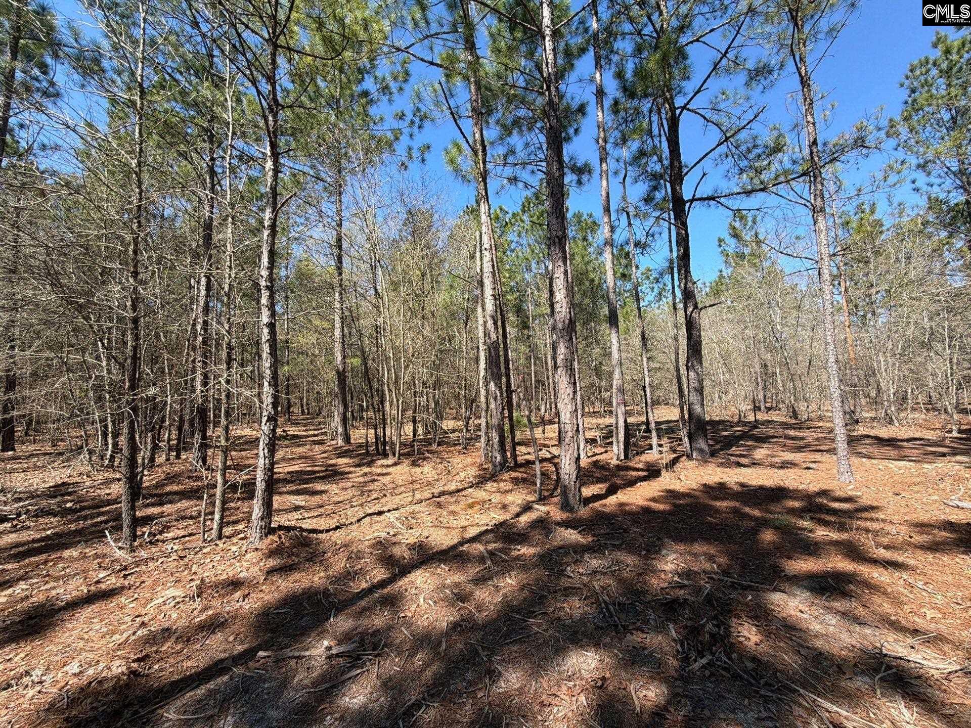 13 Boise Cascade Road, Unit BHL 13 Bethune, SC 29009 - Photo 12 of 31