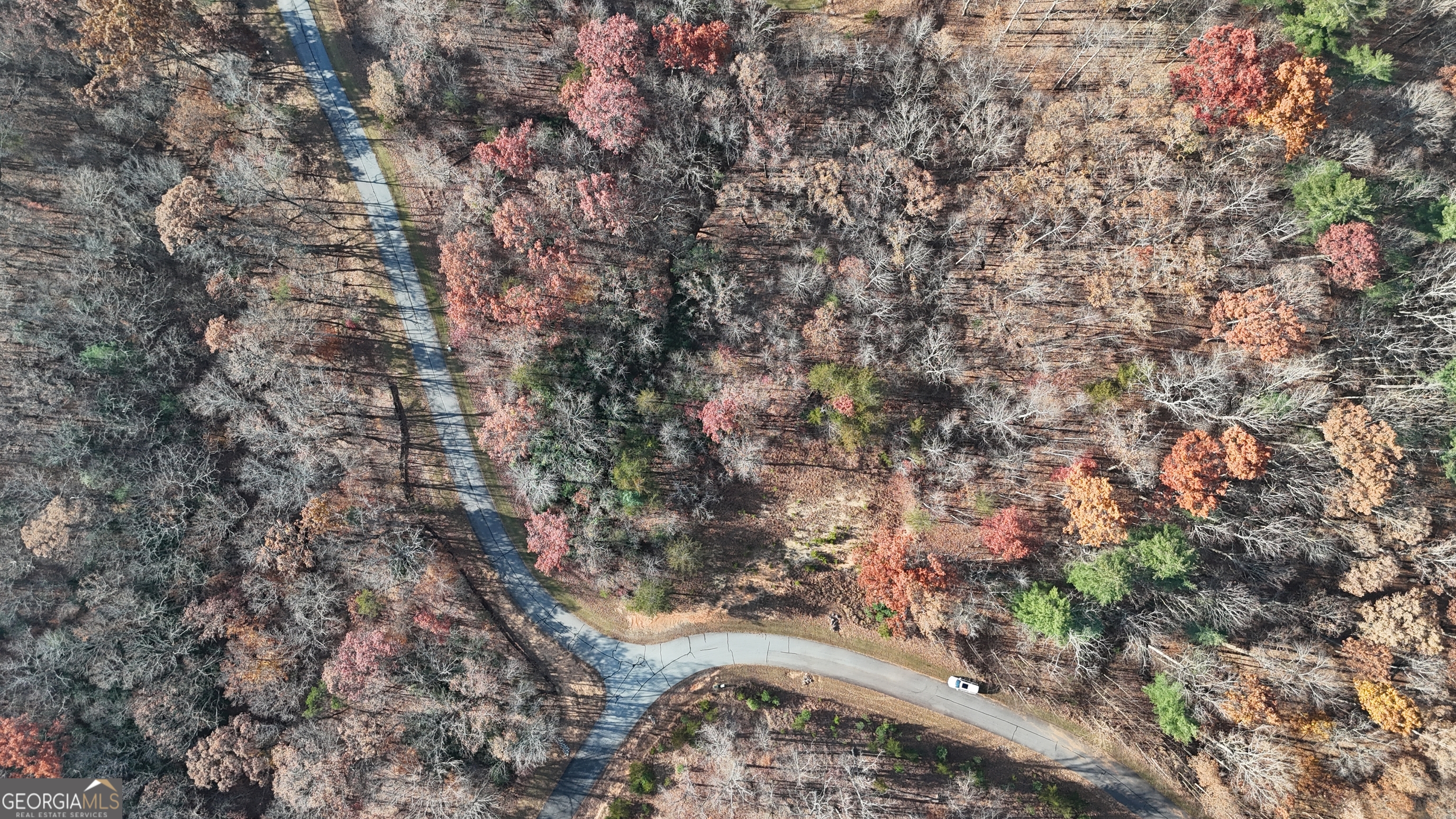 Lot 197 Spring Winds Drive Cleveland, GA 30528 - Photo 7 of 7