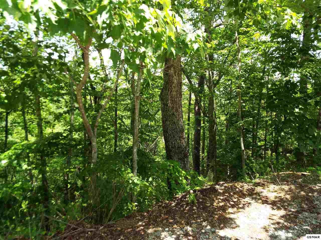 11 Wildcat Ridge Road Sevierville, TN 37862 - Photo 12 of 24
