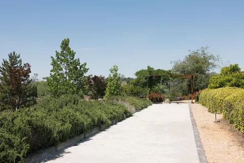 a view of a big yard with plants and large trees