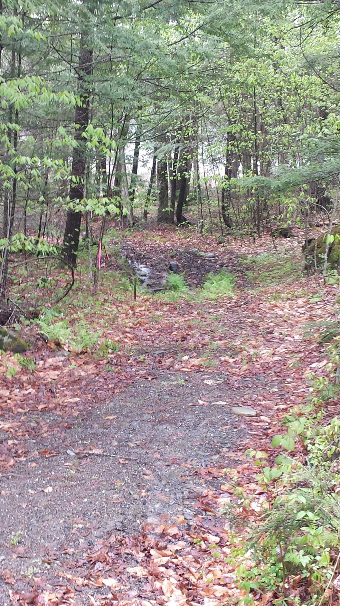 0 Citron Hill Road Sebec, ME 04481 - Photo 6 of 30 20190526_135535_resized