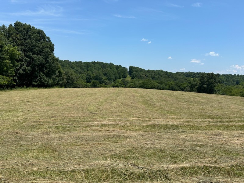 1048 Reese Road Bethpage, TN 37022 - Photo 8 of 9 Gallery Image 8
