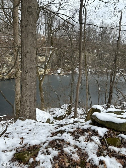21500 Putney Ridge Road Salesville, OH 43778 - Photo 6 of 6