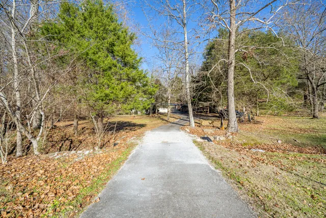 a view of a yard with large trees