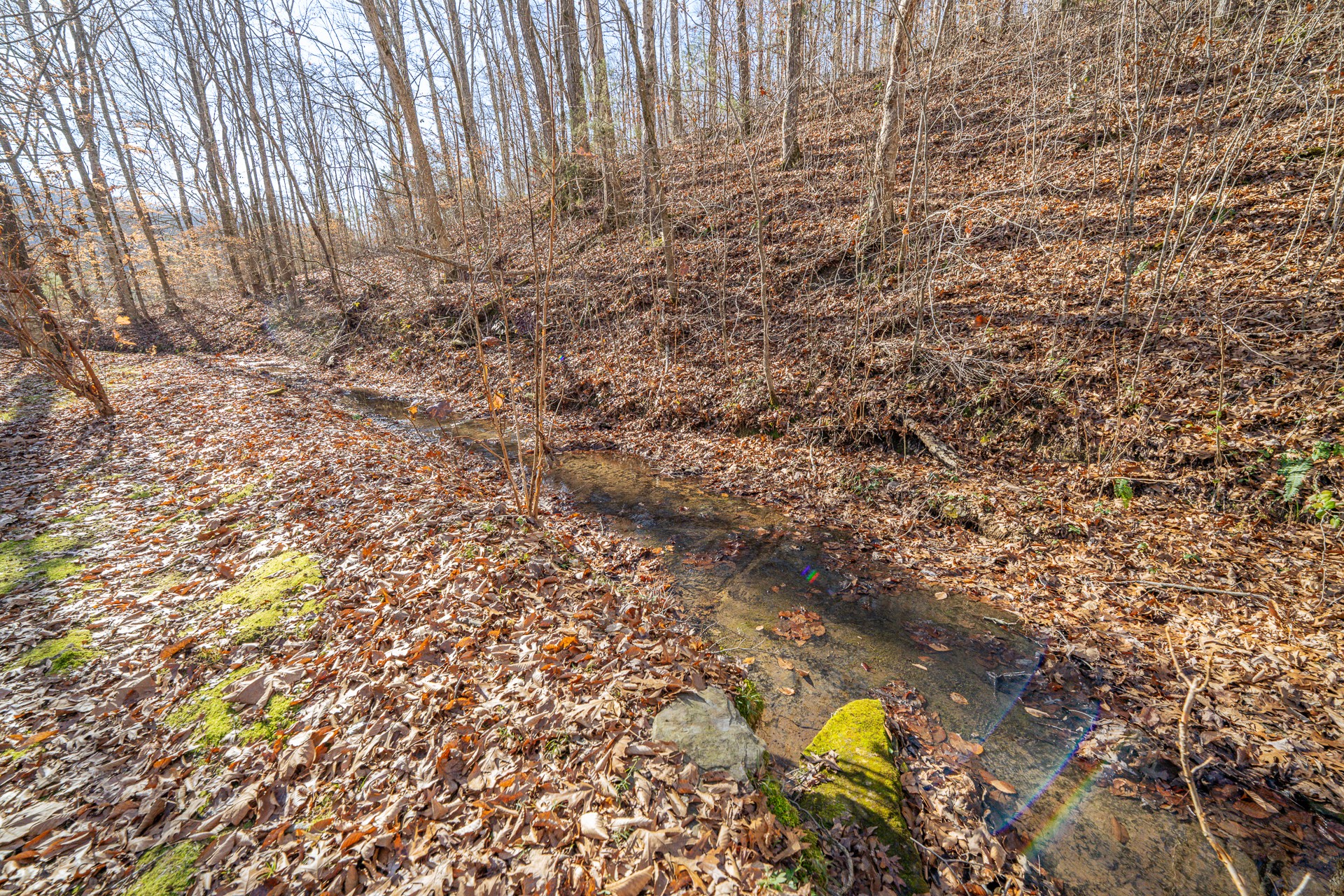 1934 Hog Creek Road Waynesboro, TN 38485 - Photo 60 of 87