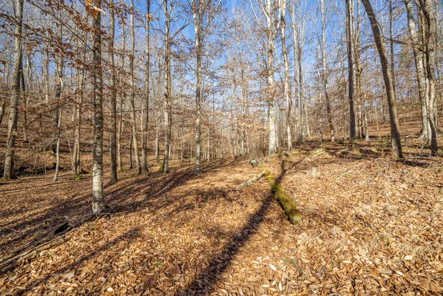 $365,000 | 1934 Hog Creek Road, Waynesboro, TN 38485