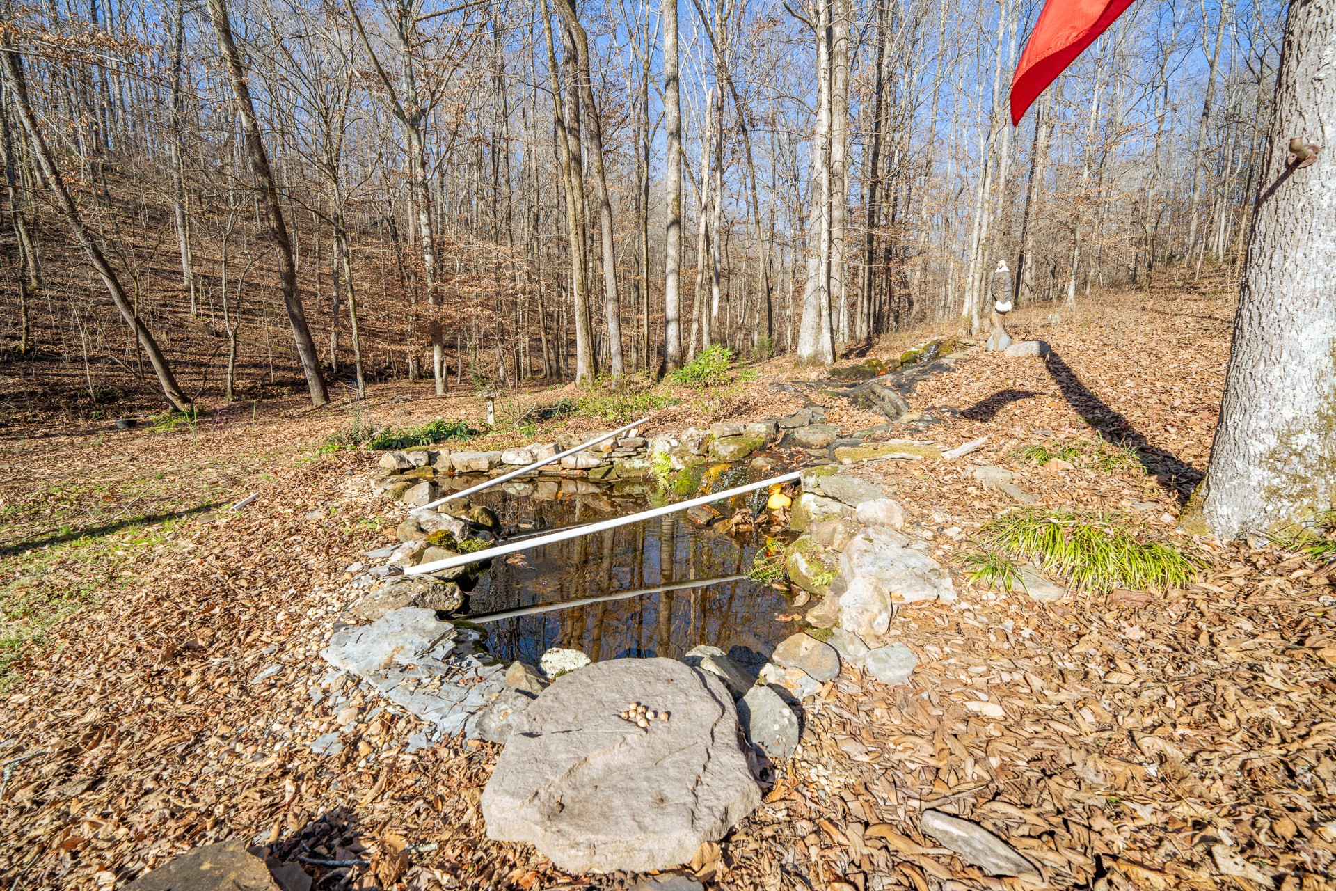 1934 Hog Creek Road Waynesboro, TN 38485 - Photo 65 of 87