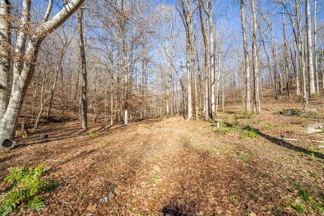 $365,000 | 1934 Hog Creek Road, Waynesboro, TN 38485