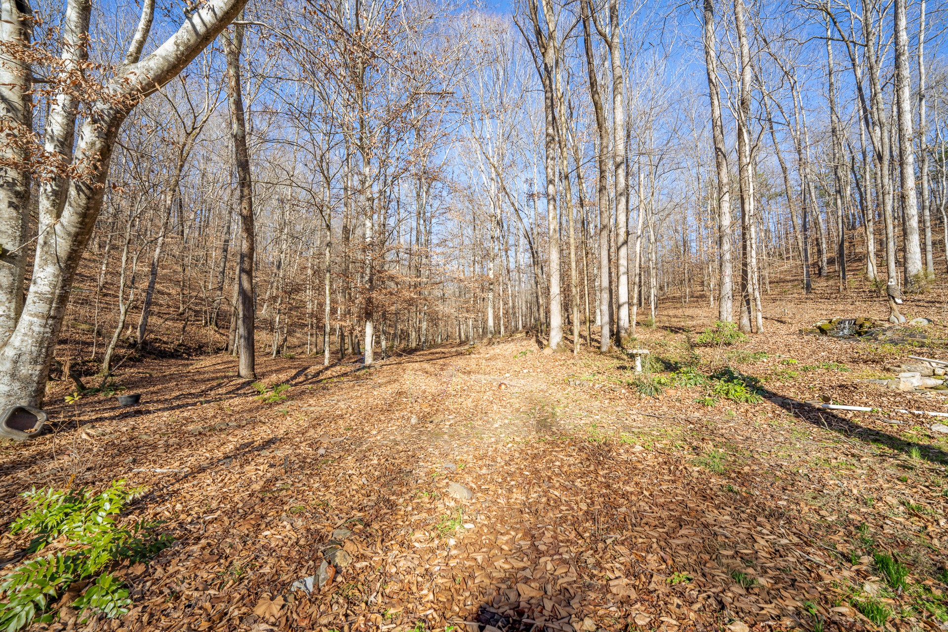 1934 Hog Creek Road Waynesboro, TN 38485 - Photo 66 of 87