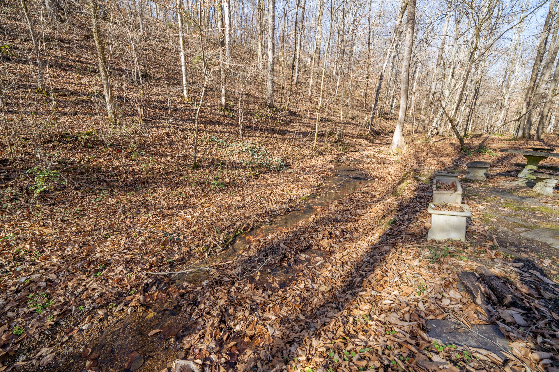 1934 Hog Creek Road Waynesboro, TN 38485 - Photo 68 of 87