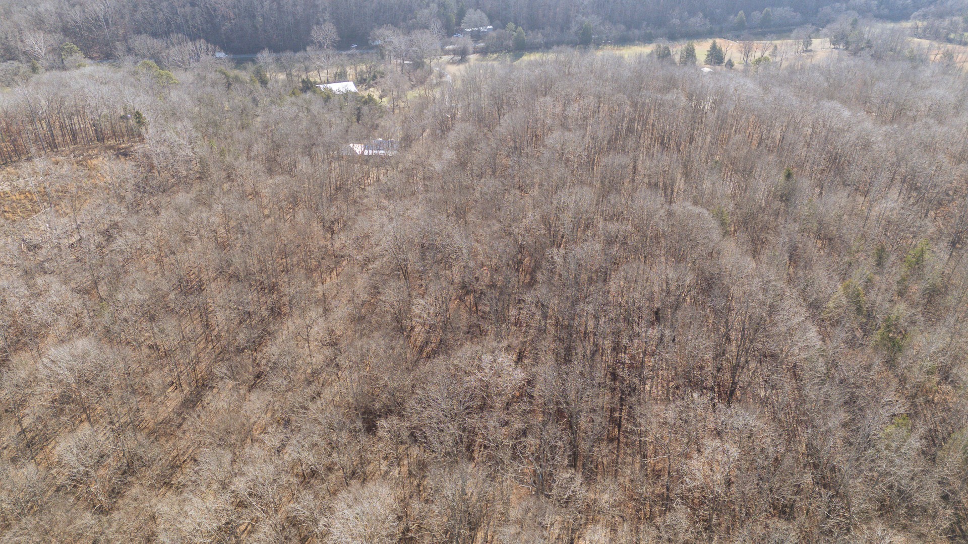 1934 Hog Creek Road Waynesboro, TN 38485 - Photo 76 of 87