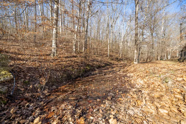 a view of a yard with an trees
