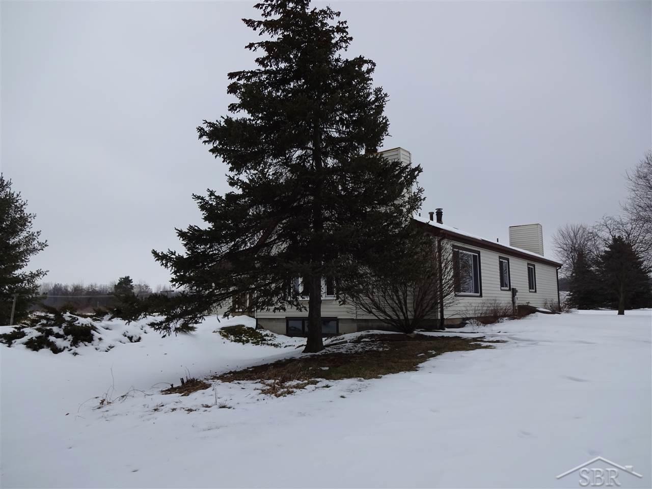 4505 Lone Road Freeland, MI 48623 - Photo 4 of 23 31282226-3.JPG
