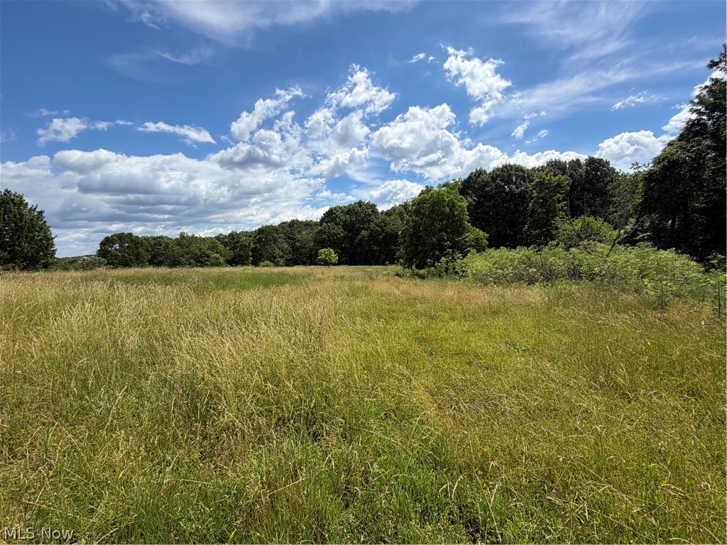 15441 Johnson Road Lisbon, OH 44432 - Photo 14 of 45 Nature