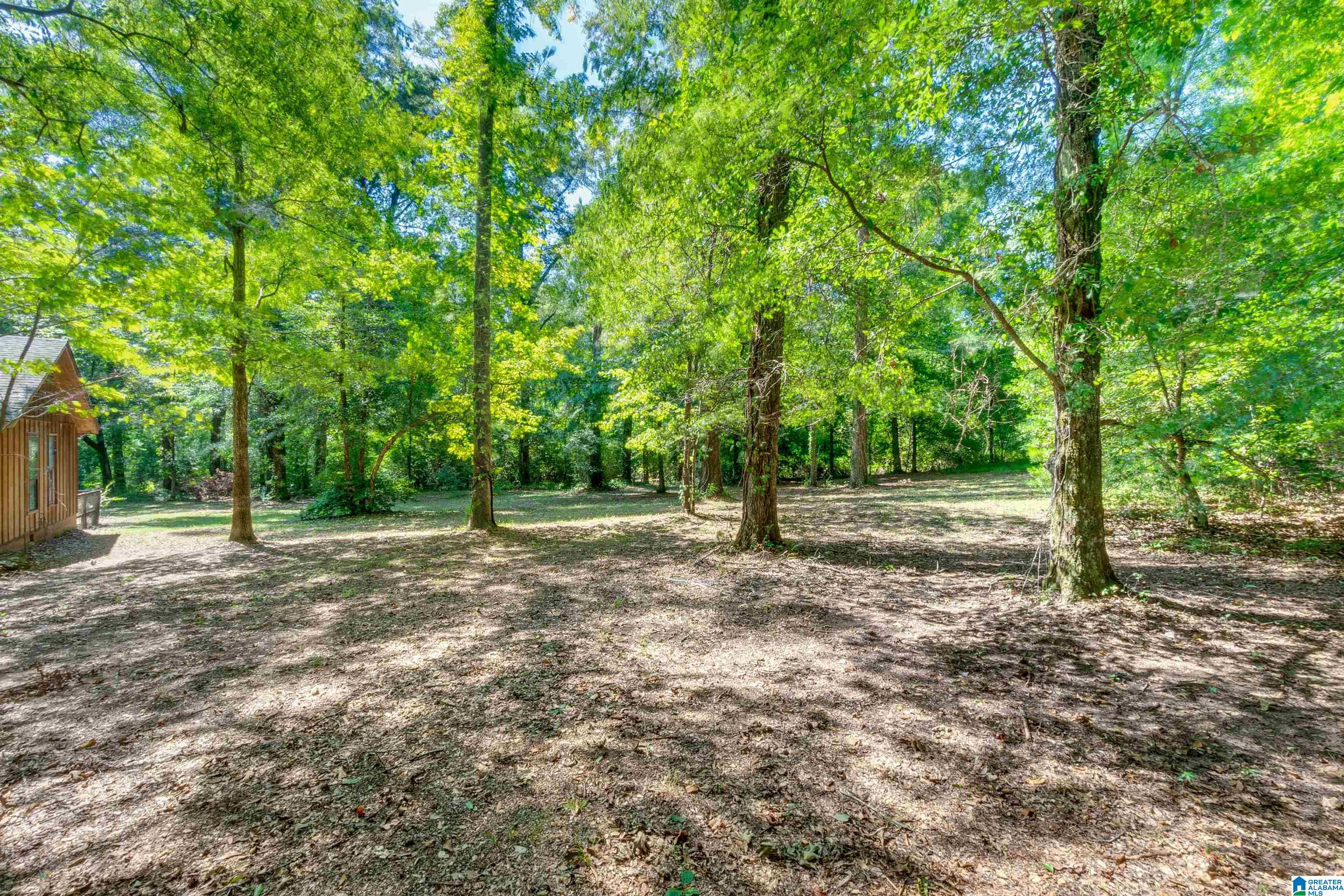 714 Pecan Road Plantersville, AL 36758 - Photo 47 of 49