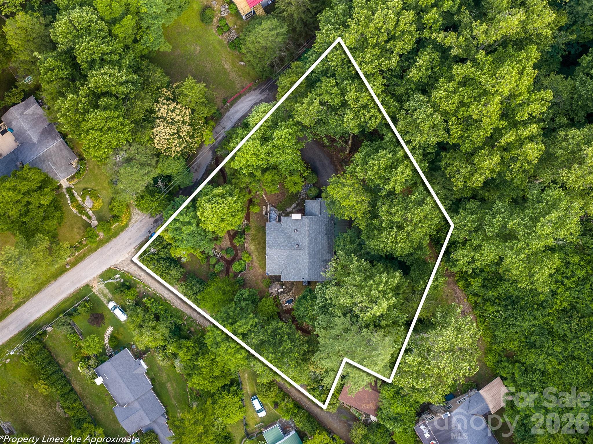 206 Chestnut Hill Road Gerton, NC 28735 - Photo 6 of 48
