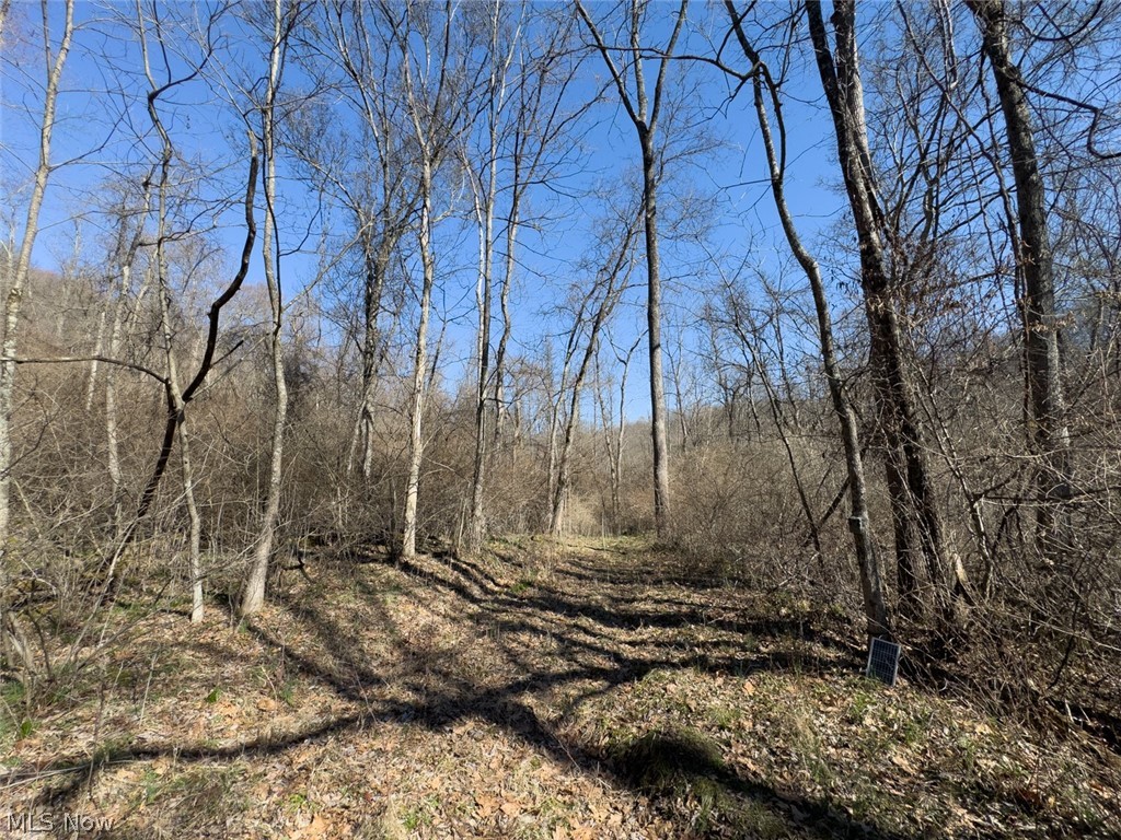 0 Clem Garvin Road Caldwell, OH 43724 - Photo 37 of 50 View of wooded area