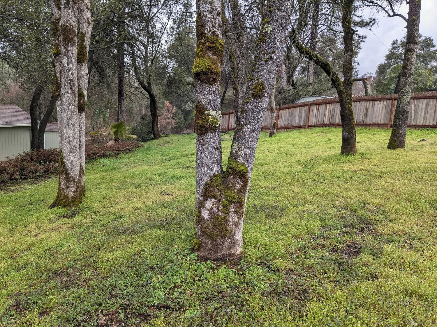 10601 Lime Kiln Road Grass Valley, CA 95949 - Photo 73 of 79