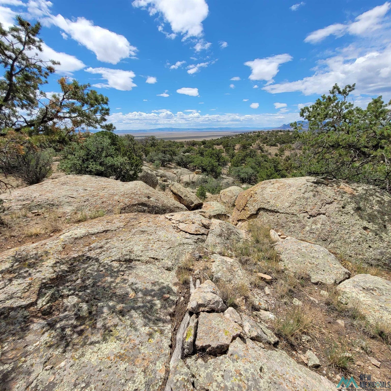 0 Lookout Loop, Unit 89 Datil, NM 87821 - Photo 11 of 38 Gallery Image 11