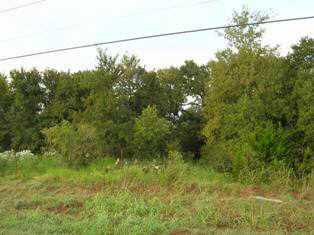 15901 Decker Lake Road Manor, TX 78653 - Photo 1 of 1 Exterior Front : View of land.