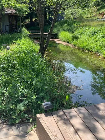 $279,900 | 14268 Main Street, French Gulch, CA 96033