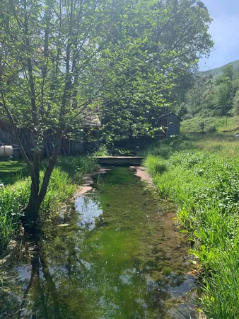 $279,900 | 14268 Main Street, French Gulch, CA 96033