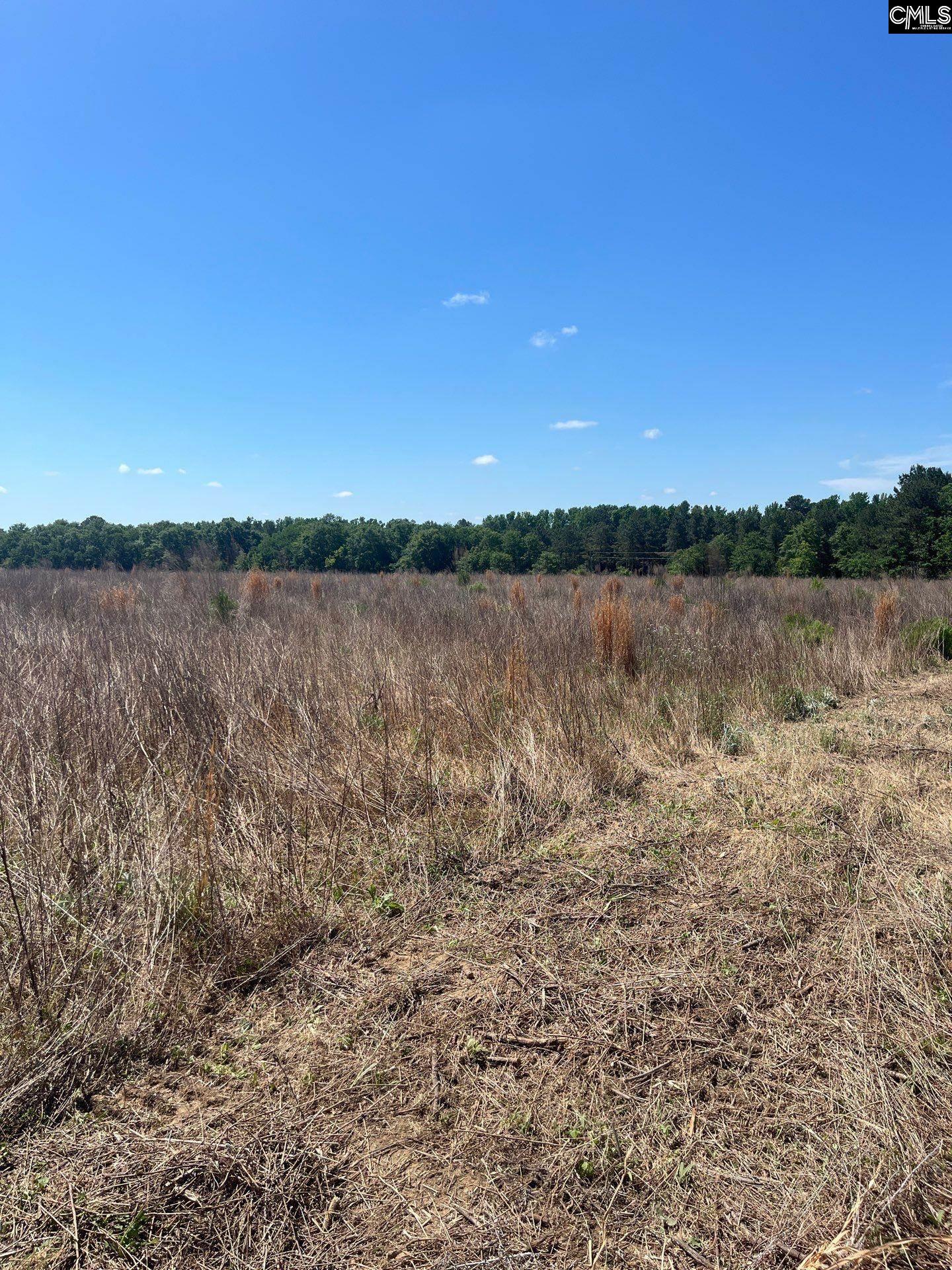 5 Salley Road Salley, SC 29137 - Photo 4 of 16 Gallery Image 4