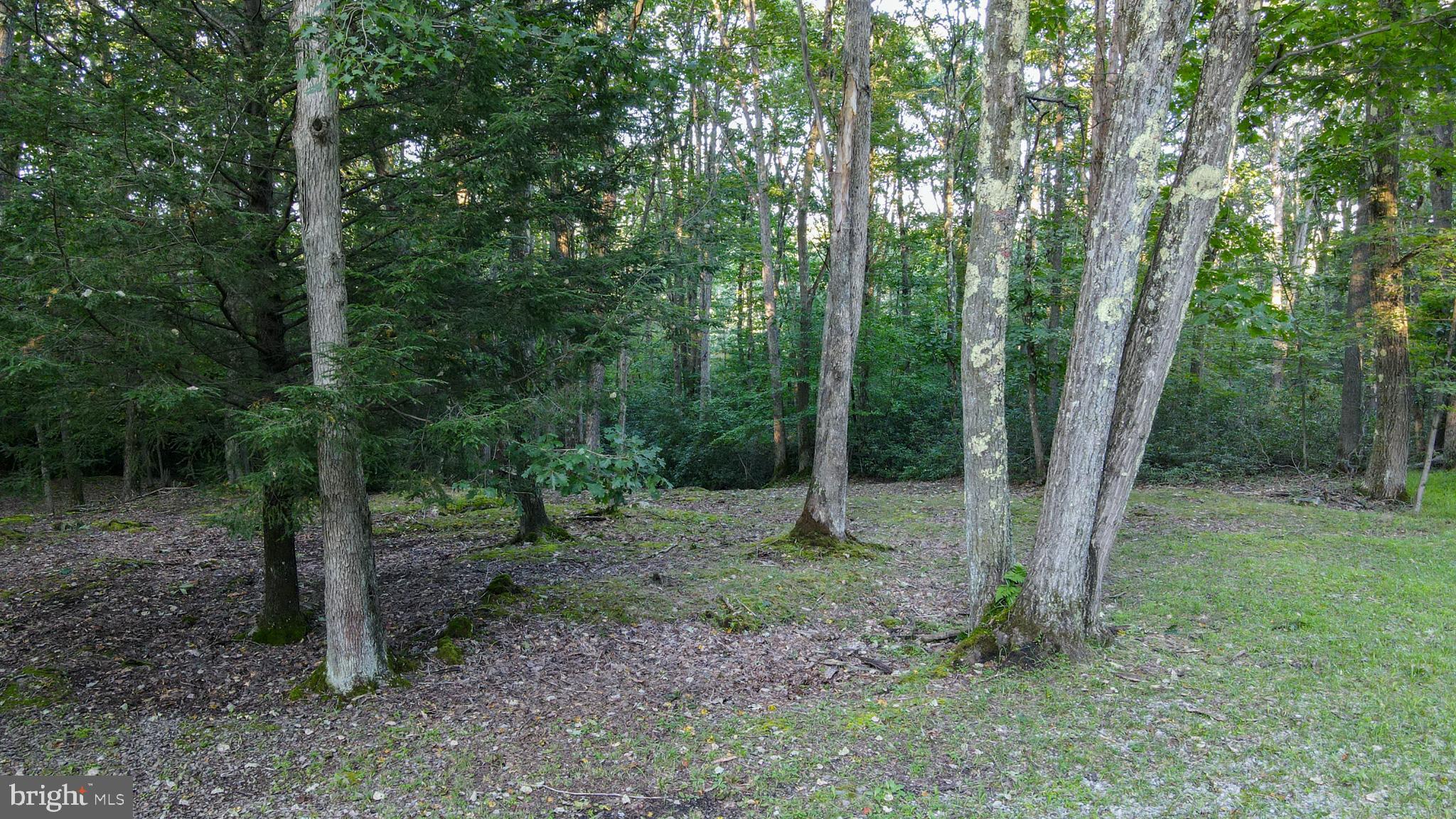 Lot 8 Stool Rock Road Oakland, MD 21550 - Photo 5 of 16 Gallery Image 5
