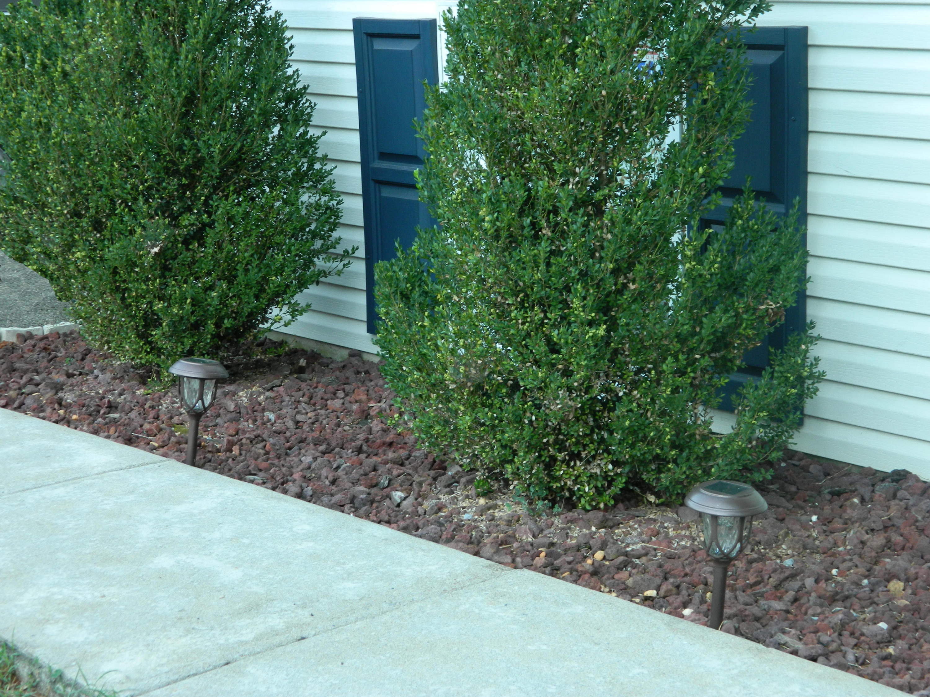 647 Ramada Road Vinton, VA 24179 - Photo 3 of 36 Landscaping
