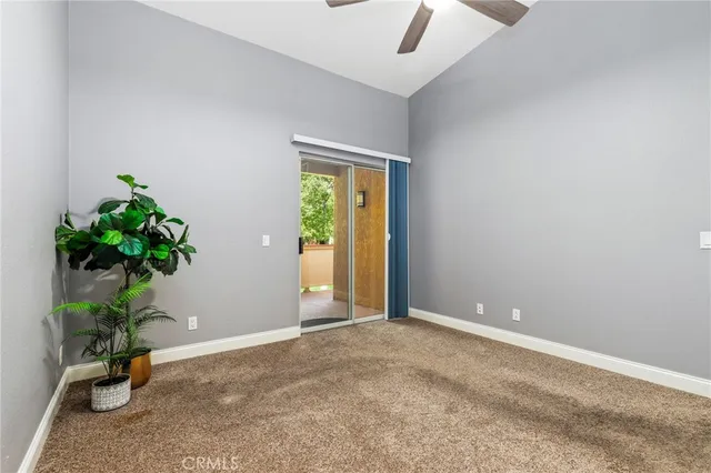 an empty room with windows and flower pot
