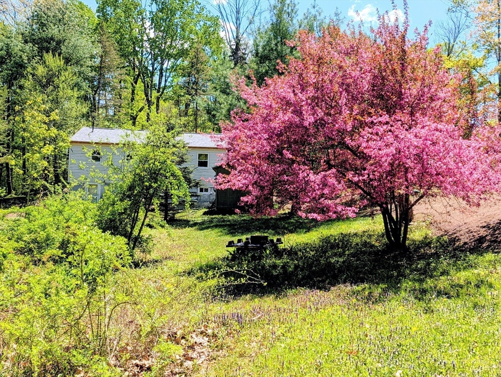51 Russell Stage Road Blandford, MA 01008 - Photo 16 of 16