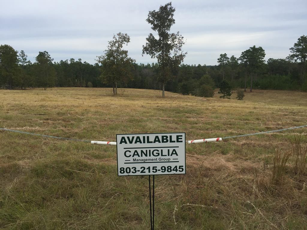 0 Anderson Pond Road Aiken, SC 29803 - Photo 1 of 3