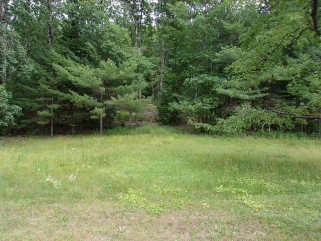 Mountain Meadows Road, Unit 12 Lyman, NH 03585 - Photo 3 of 5