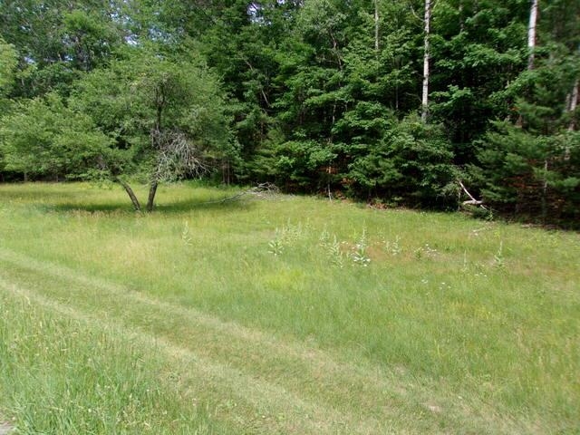 Mountain Meadows Road, Unit 12 Lyman, NH 03585 - Photo 4 of 5