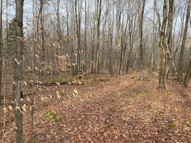 0 Brown Road Malone, NY 12953 - Photo 4 of 4 brown rd