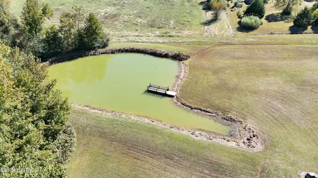 $575,000 | 18080 Highway 22, Wildersville, TN 38388