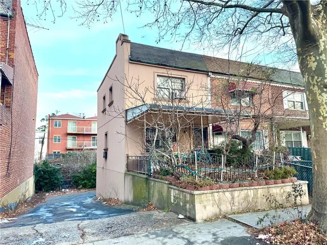 a view of a yard with plants and large trees