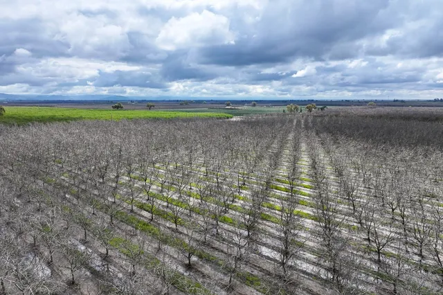 $1,657,425 | 0 Road 180, Strathmore, CA 93267